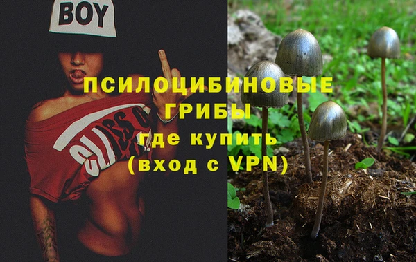 2c-b Дмитров